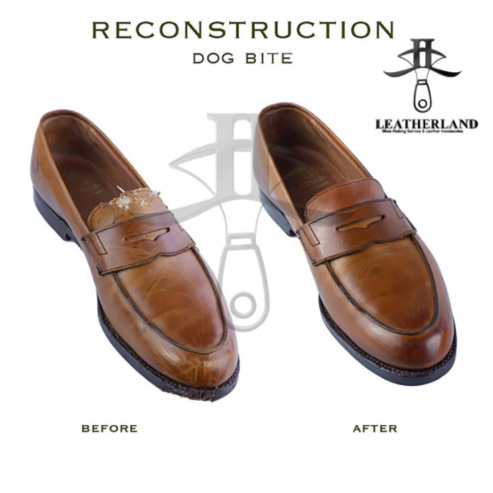 DOG BITE REPAIR DOG BITE